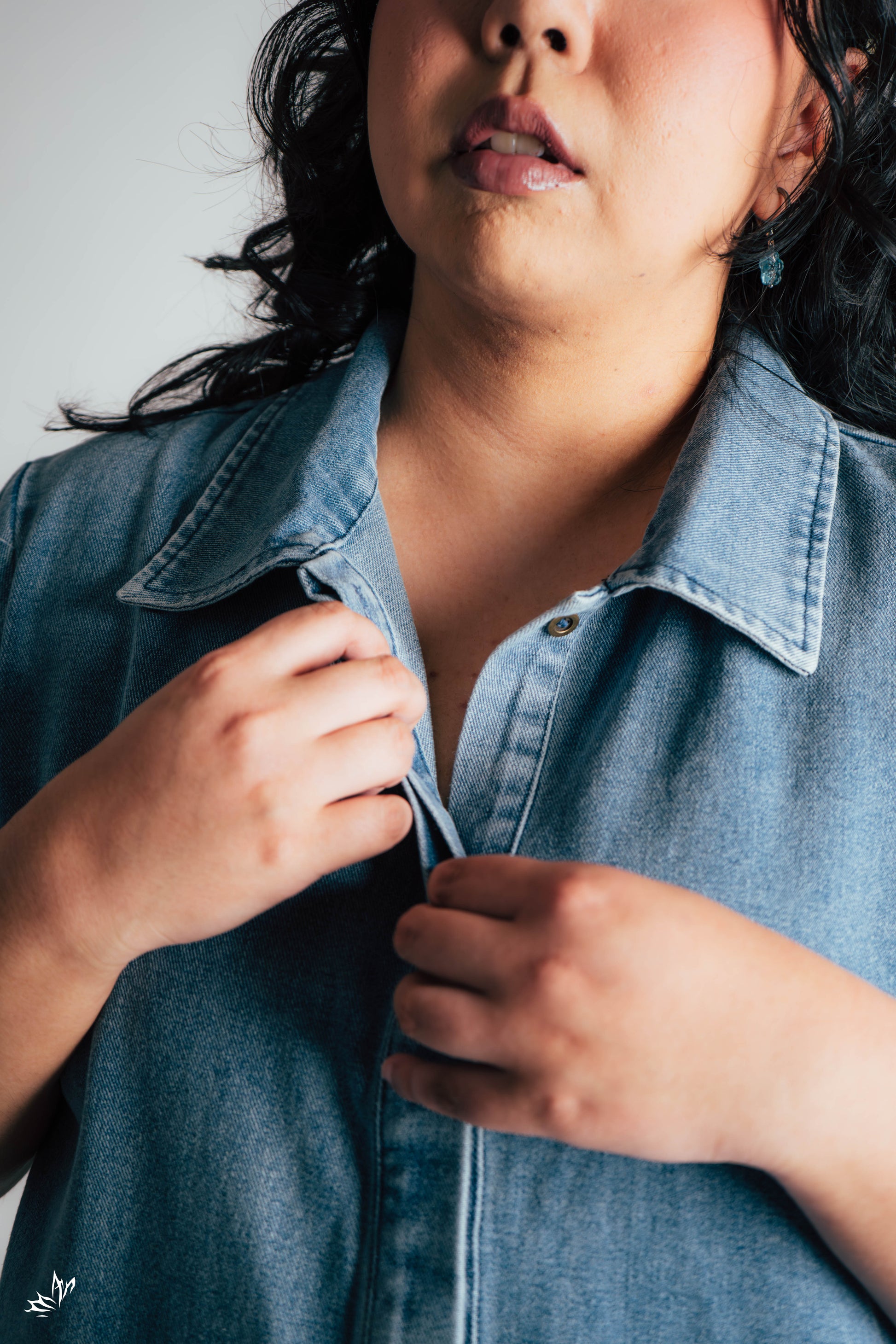 The Mad Theories Faye Denim Shift Dress